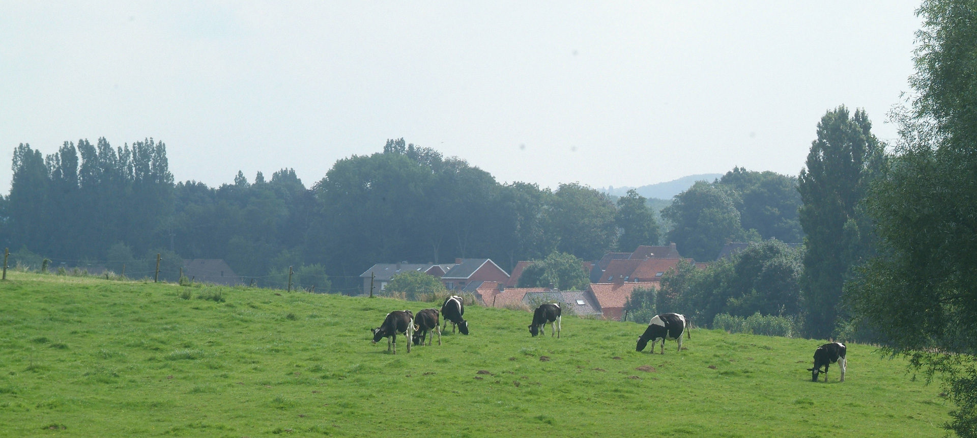 Surroundings - Camping Ypra