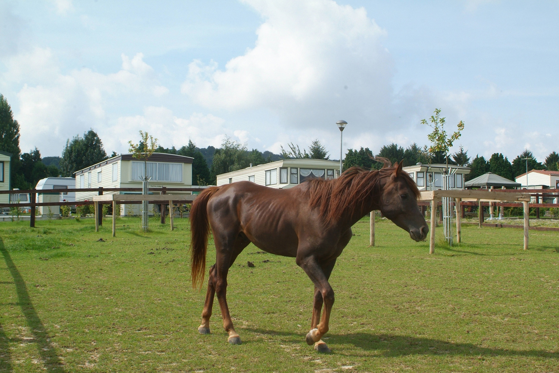 Camping vlak bij oorlogsmonumenten - Camping Ypra