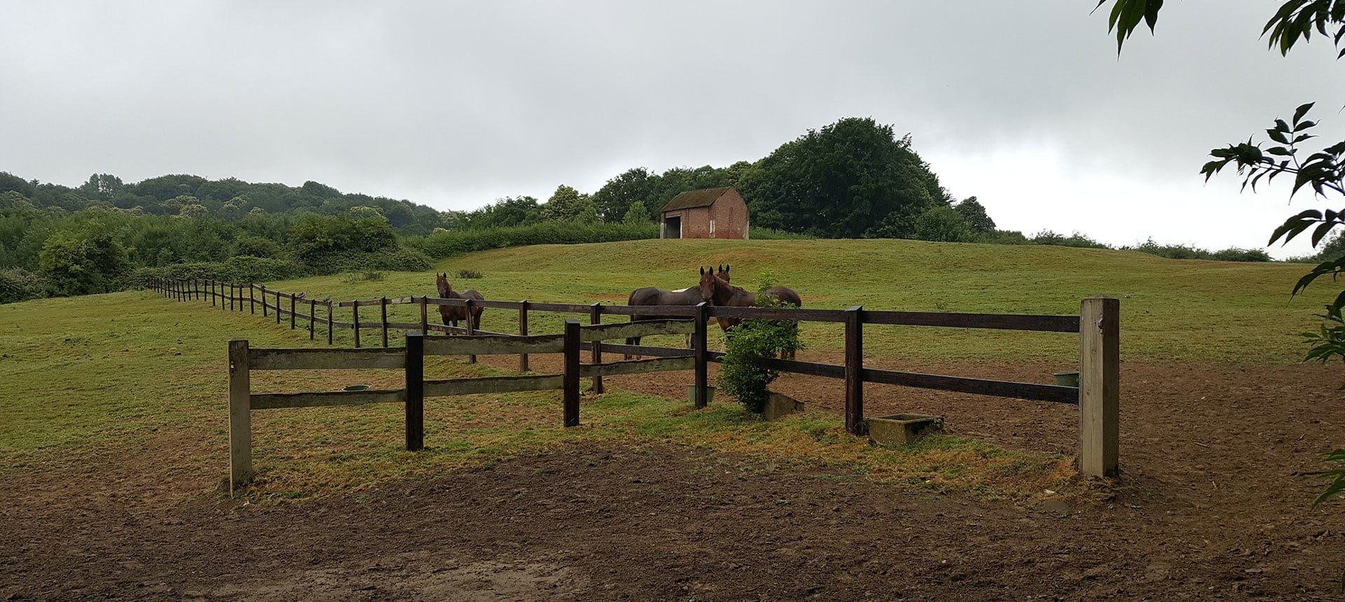 Surroundings - Camping Ypra